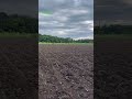 Sorgo Silero 70 toneladas x hectárea