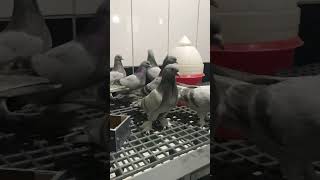 Söz Verdiğimiz Gibi Saat Yirmibirde Görüşmek Dileğiyle