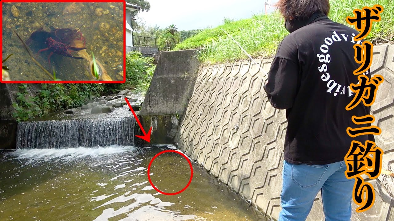 Go fishing to eat the crayfish that have appeared in large numbers
