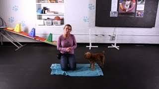 Teach Your Dog to Wipe His Feet, Part 2 | Dog Tricks screenshot 5