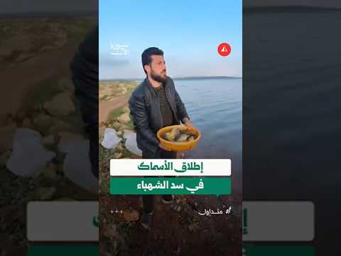 إطلاق أسماك الكارب في سد الشهباء شمالي حلب