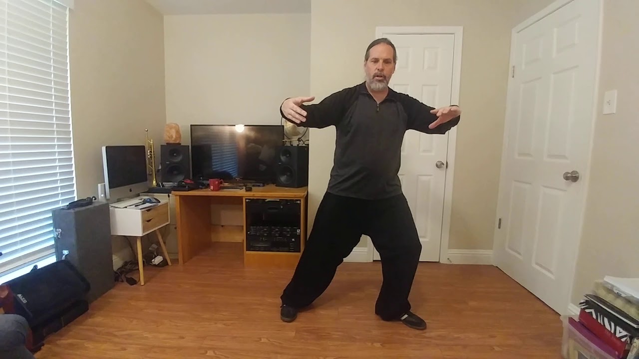 Yang Style 37 Form Transitions - Part 1