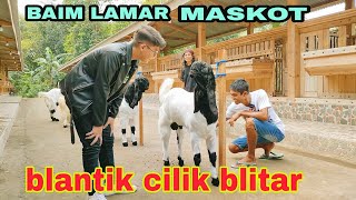 BAIM - LAMAR PITULAS DAN BUNGA maskot blantik CILIKNYA blitar
