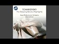 Miniature de la vidéo de la chanson The Sleeping Beauty, Op. 66, Th 13: Finale And Apotheose