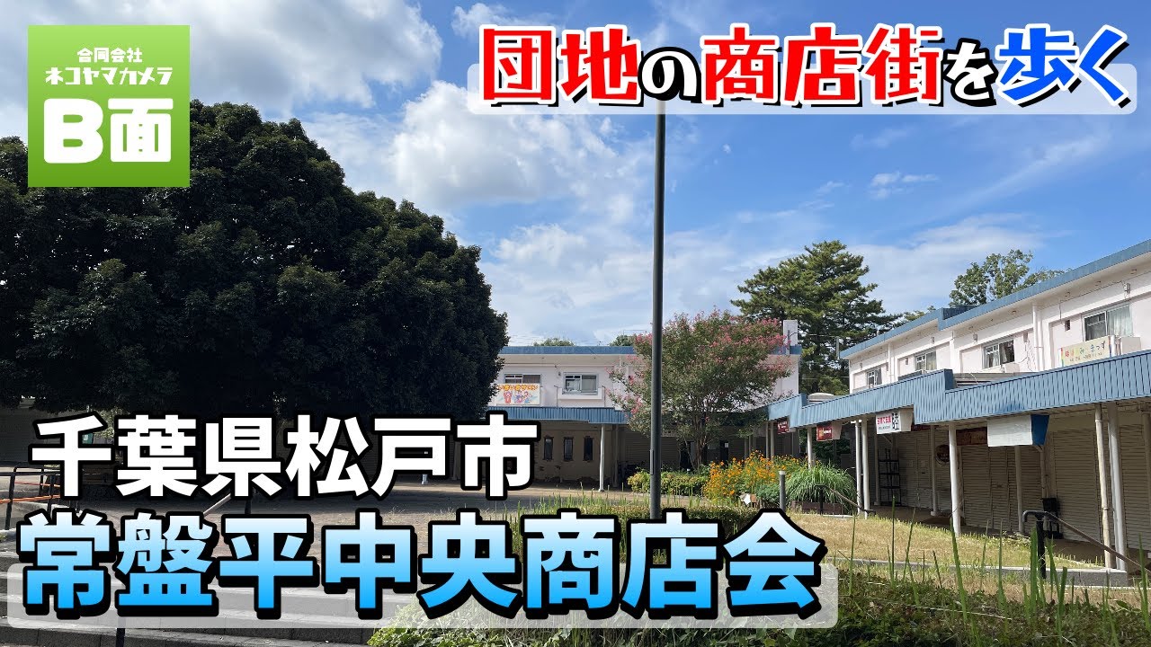 【団地の商店街を歩く】千葉県松戸市「常盤平中央商店会」