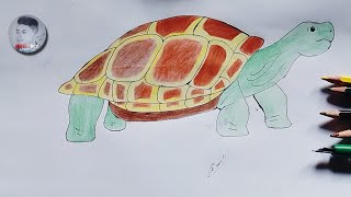 Realistic tortoise drawing with color pencil | step by step drawing tutorial for beginners