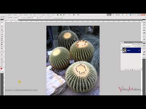 Video: Qual è l'uso di Adobe Photoshop CS5?