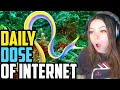 Adept Reacts to DAILY DOSE OF INTERNET!