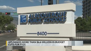 APS makes more than $6.6 million in budget cuts for 2021 fiscal year