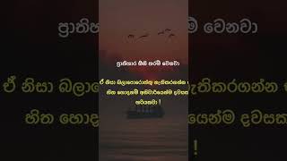 Download Lagu ඔව් උතුරන්න හරියන්න ඕන #shortvideo #quotes#trending #love #motivationalquotes MP3