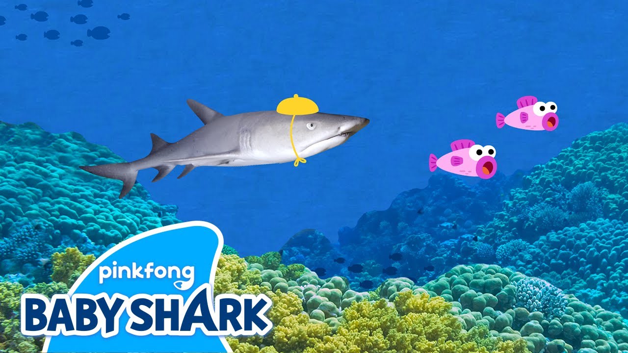 Run Real Baby Shark Baby Shark Song Sing With Baby Shark Sing And Dance With Baby Shark Youtube