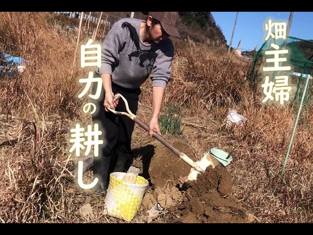 耕運機を使わないの？寒い冬は地味に汗ばむ自力の耕しで丁寧な家庭菜園 