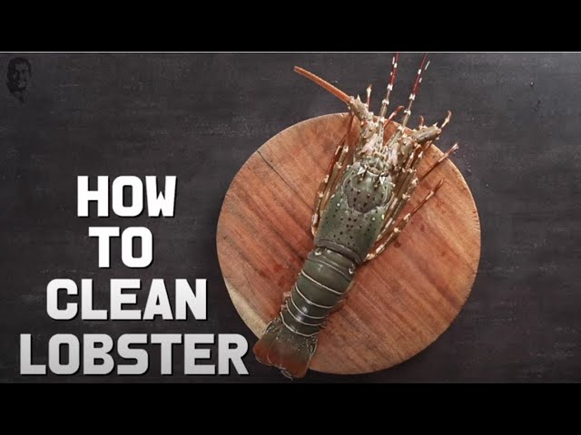 How to Clean Lobster | लॉबस्टर कैसे साफ करे | Kitchen Hacks | Sanjeev Kapoor Khazana