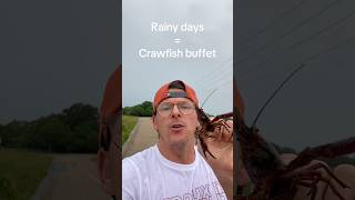 Louisiana food hack. Rainy days equal crawfish buffet.