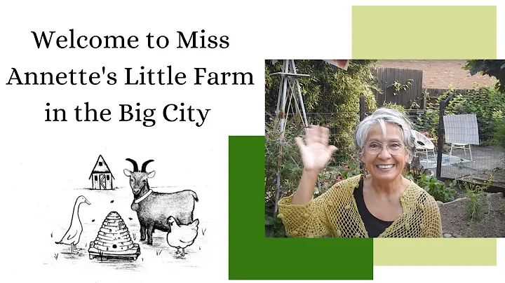 Welcome to Miss Annette's Little Farm in the Big C...