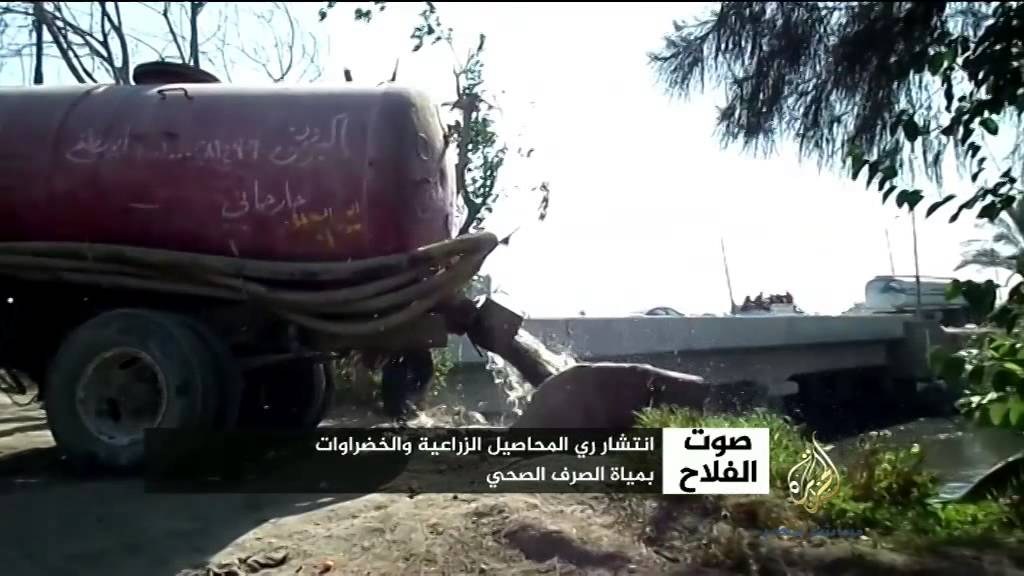 صوت الفلاح حول انتشار ري الخضروات بمياه الصرف الصحي