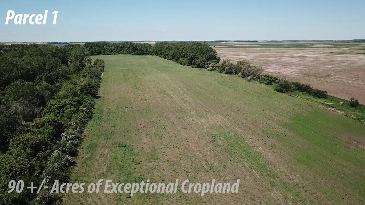 160 +/ Acres Pierce County, ND YouTube