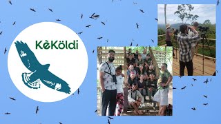 The Kekoldi Hawk Watch in Costa Rica