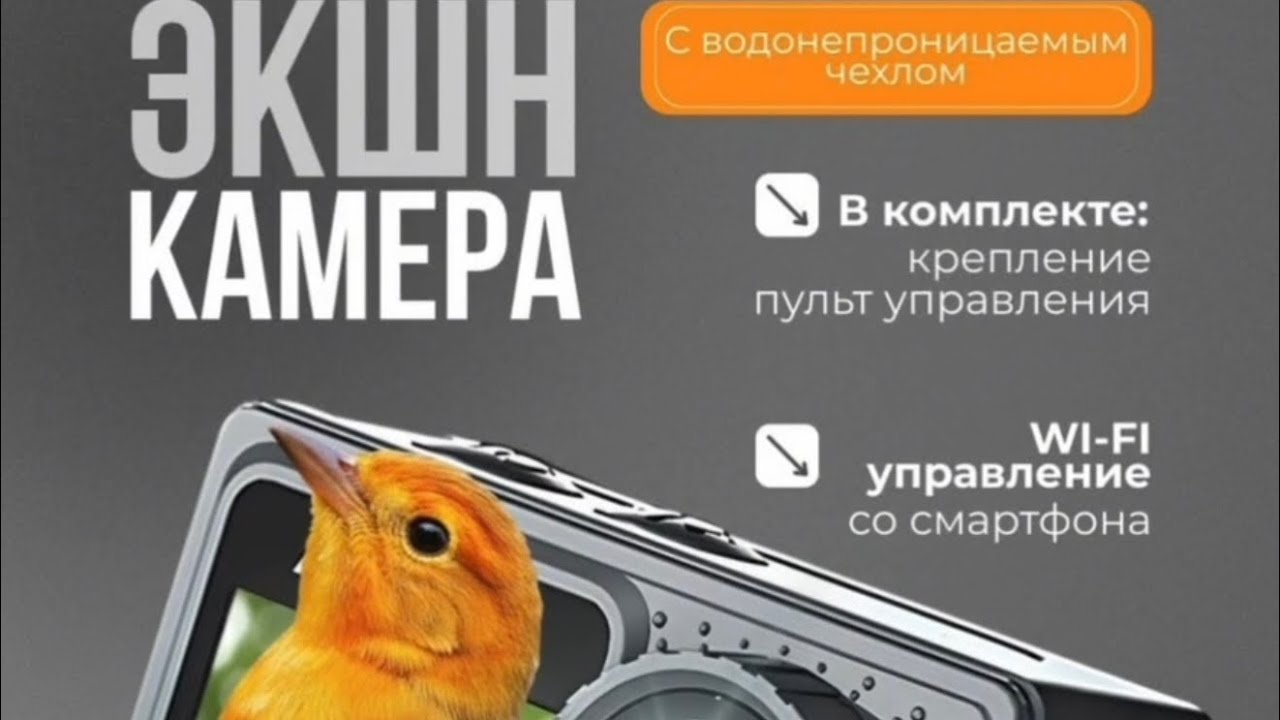 Инфографика с телефона: бесплатный урок в CANVA