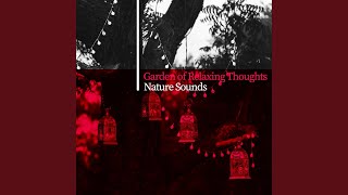 Sweet-Smelling Flowers - Garden of Zen Music