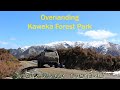 Kaweka Forest Park - Solo Overlanding