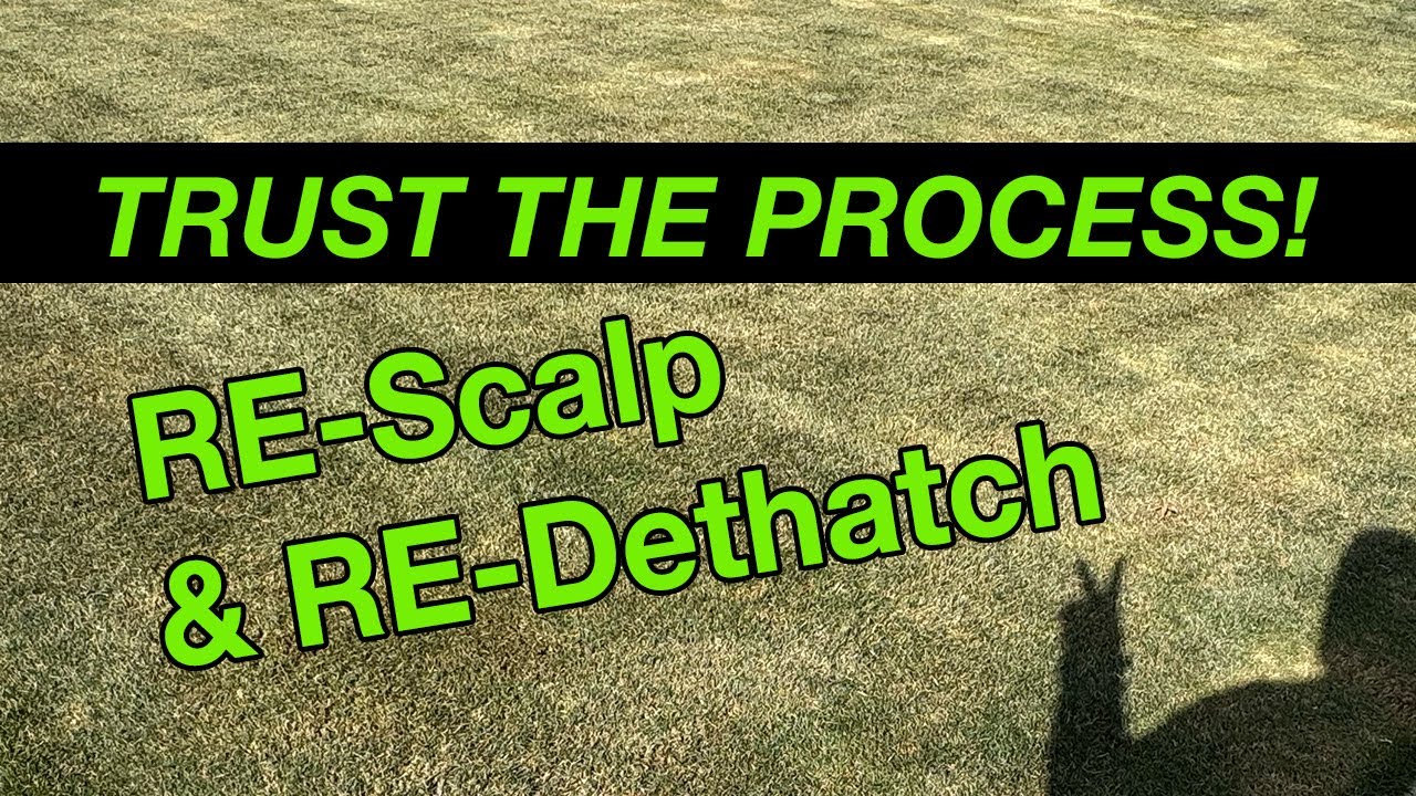 Fall Lawn Reset TAKE 2! Re-Scalp & Re-Dethatch Zone 6b