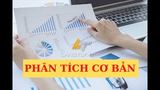 Phân Tích Cơ Bản Trong Giao Dịch Forex.