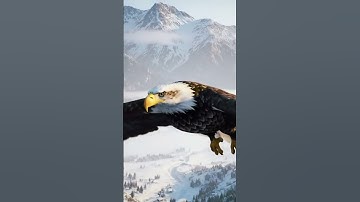 When Eagles Soar Above the World | AI Video | #ai #eagles #veo2 #aigenerated