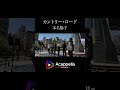 【カントリー・ロード / 本名陽子】酔いどれチワワ(アカペラ)#shorts