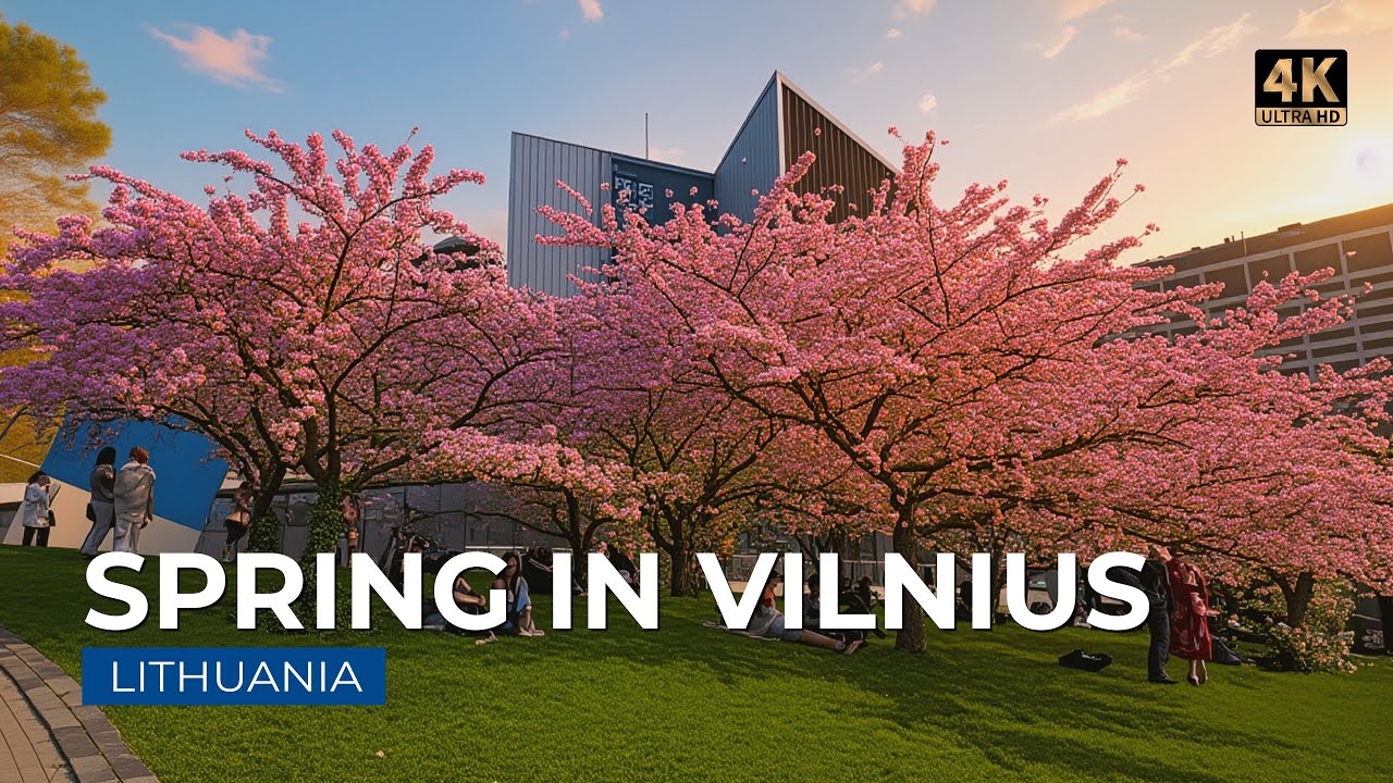 Cherry Blossom Dream 🌸 | Sakura Blooming and a bike ride through the historic Vilnius Old Town