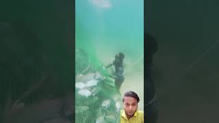 #viralvideo #fish #fishing #trendingshortsforyou #শর্টস #shortvideo #foryou #trendingshorts #reels