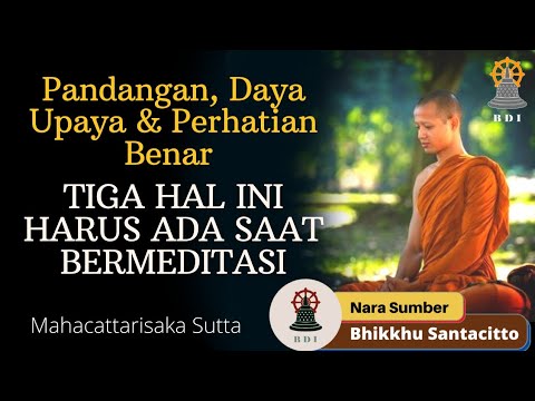 TIGA HAL INI HARUS ADA SAAT MEDITASI: Pandangan, Daya Upaya dan Perhatian Benar I Bhikkhu Santacitto