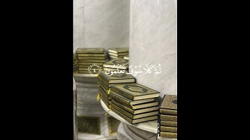 القران الكريم _ سورة التكاثر #اكسبلور #المصحف #الرحمن