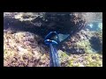 Lebanese Shallow water mullet shooting (less than 0.5m)