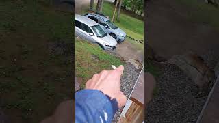 Hornet Sacrifice #hornet #2026 #shorts #bugs #nature #scary #interesting #interestingfacts #2025