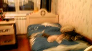 Download Lagu Scp 678 MP3 Scp 678