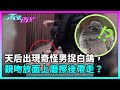 東張西望｜天后出現奇怪男捉白鴿，親吻及放面上磨擦後帶走？｜TVBUSA｜民生