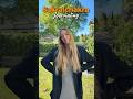 3 Reflexionsfragen  || Sakralchakra Journaling🧡