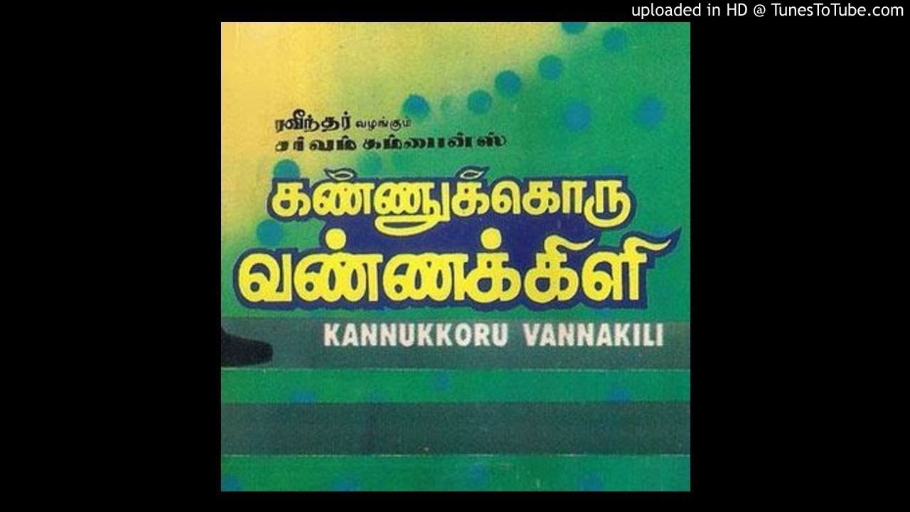 Unnai Naan Paarkaiyil   Kannukoru Vannakili 1991  High Quality Clear Audio 