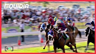 Off Courses A Lile Maurice Extrait