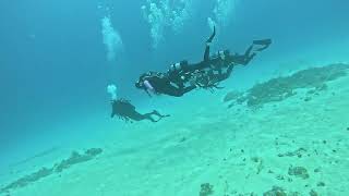 Shallow Oasis on 17 September 2026-GOT ONE STAR ON GOOGLE!!! screenshot 3