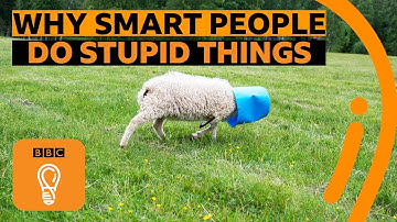 Waarom slimme mensen domme fouten maken | BBC Ideas