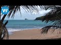 Guadeloupe (travel-documentary from the season "Caribbean Moments")