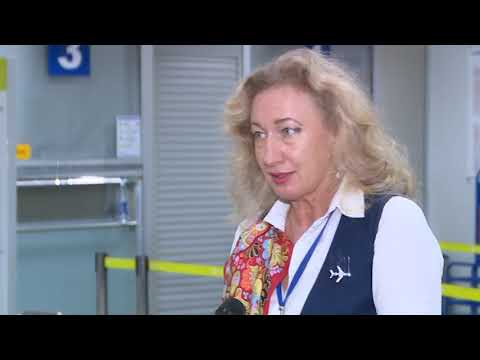 В перевозке животных воздушным транспортом есть свои тонкости