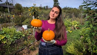 September Gardening: Preserving and Baking with my Harvest!