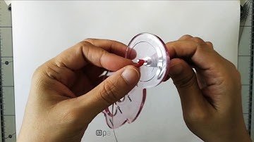 Basic Quilling Shapes : Eccentric Marquise