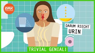 Warum stinkt mein Urin? | #trivialgenial | DAK-Gesundheit