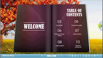 Manage Online 3D flip book with 3D PageFlip Standard