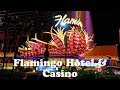 FLAMINGO BEACH - Renaissance Island ARUBA - YouTube