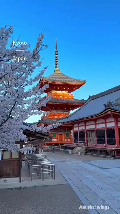 KEINDAHAN JEPANG 🇯🇵 | Edit Jepang | #shorts #lofi #jepang #tren | Sayap Anushri
